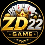 ZD22 Game