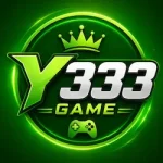 Y333 Game